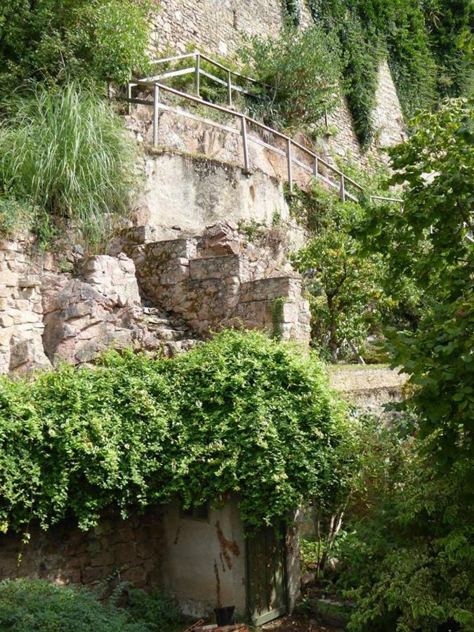 Etape Du Pont Pinard Villa Semur-en-Auxois Ngoại thất bức ảnh